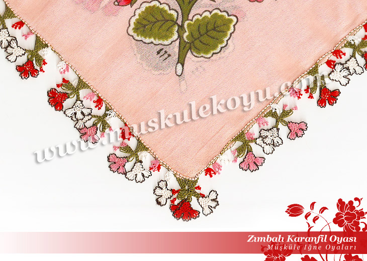 0999926zimbali_karanfil_oyasi_b1.jpg