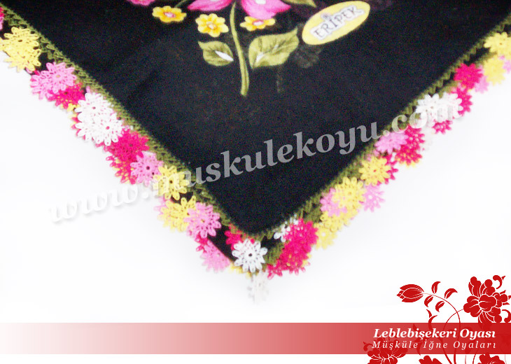 6890100leblebisekeri_oyasi_b3.jpg