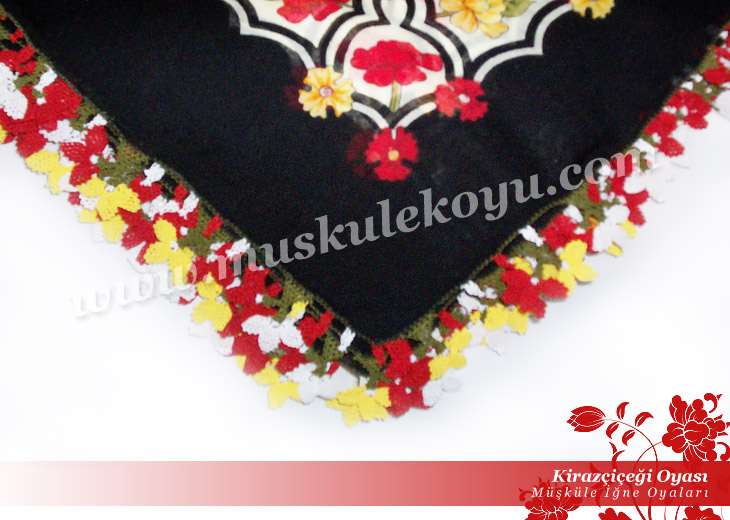 6890246kirazcicegi_oyasi_b1.jpg