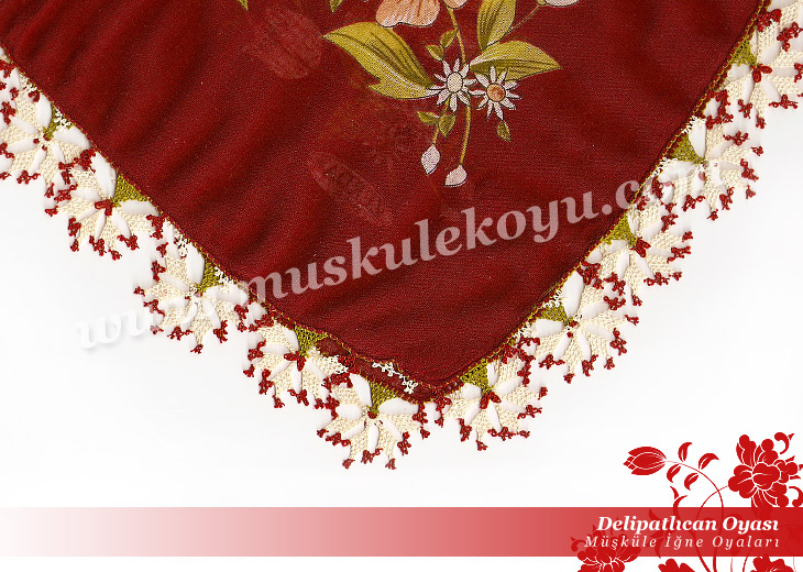 6893812delipatlican_oyasi_b1.jpg