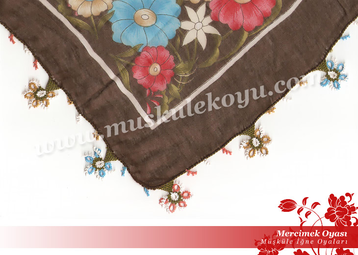 6902810mercimek_oyasi_b1.jpg