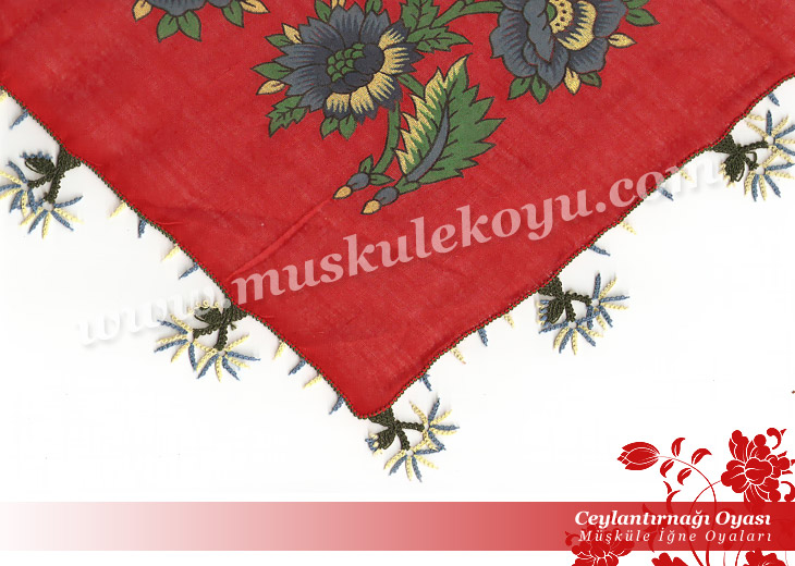 6907432ceylantirnagi_oyasi_b1.jpg