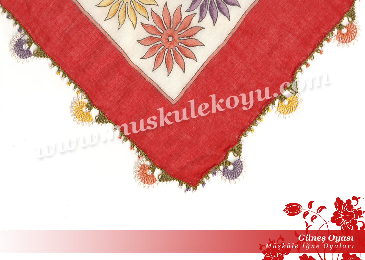 7483885gunes_oyasi_b1.jpg